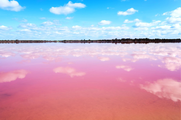 Pink Lakes in Western Australia