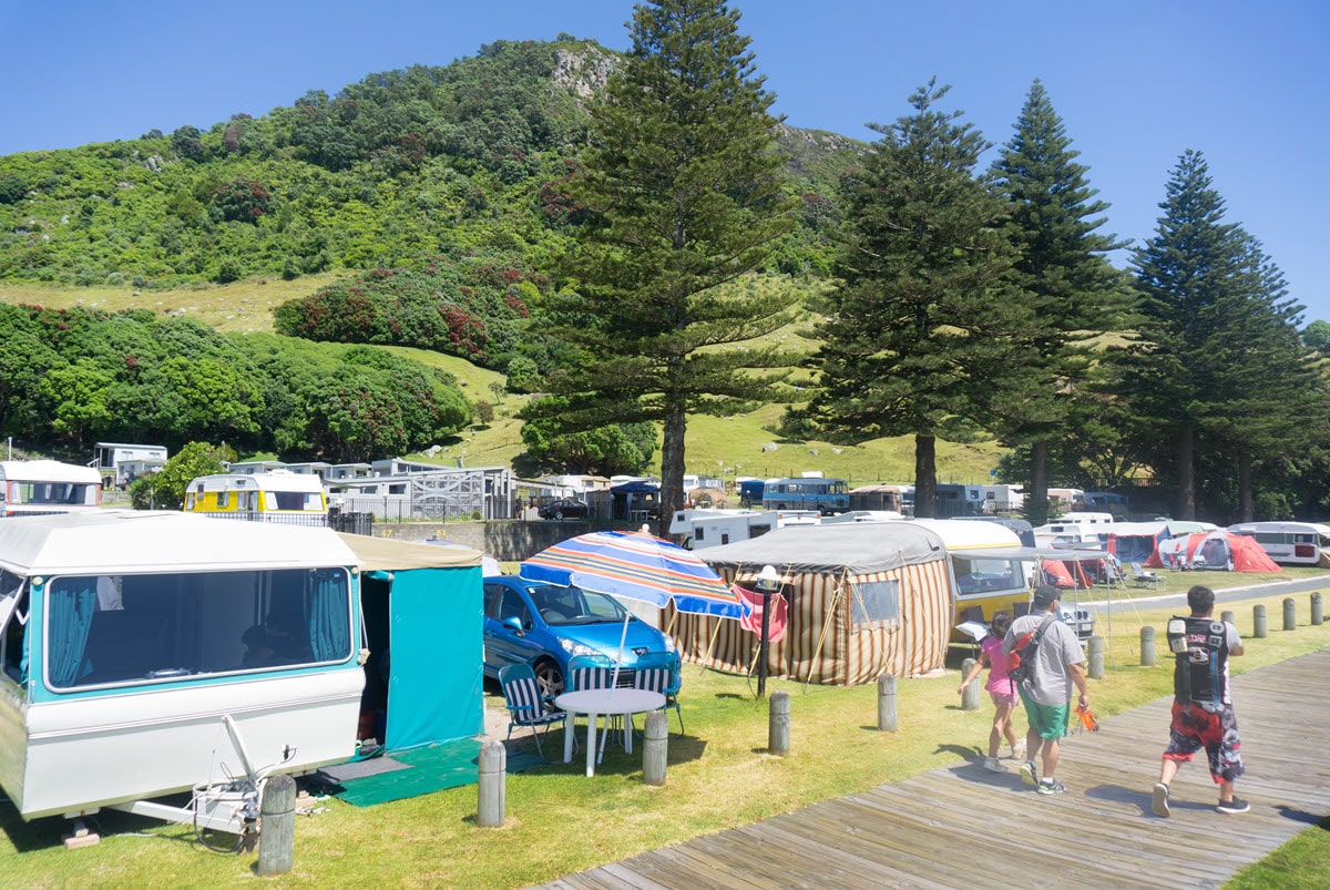 lrv dog friendly caravan parks min