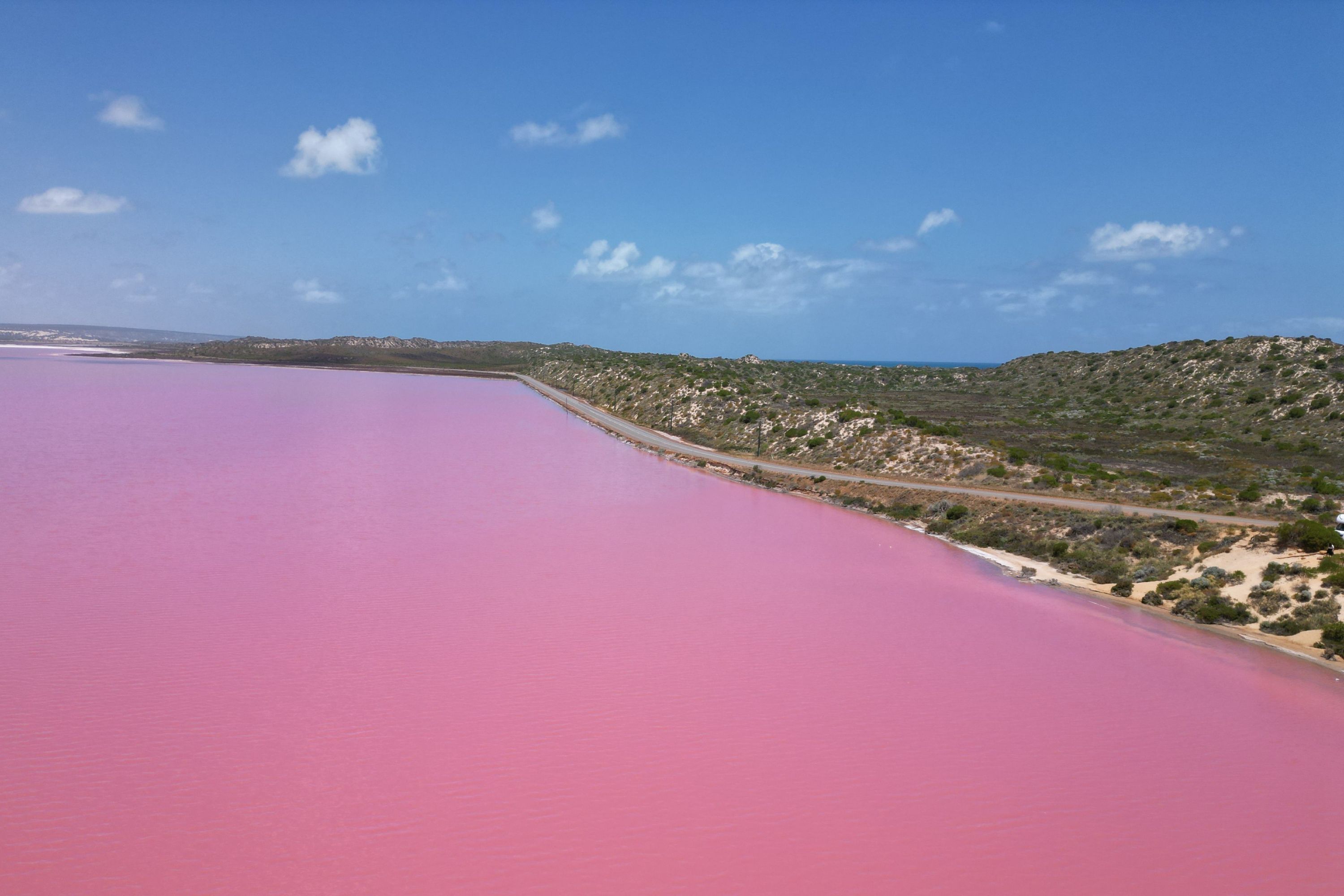 Lake Hillier Pink Lake in Esperance